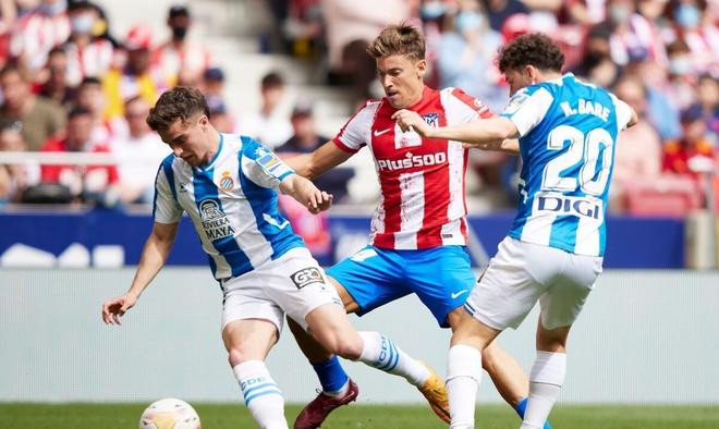 为了增强申 为了增强申