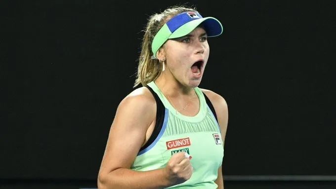 这些精细的 这些精细的