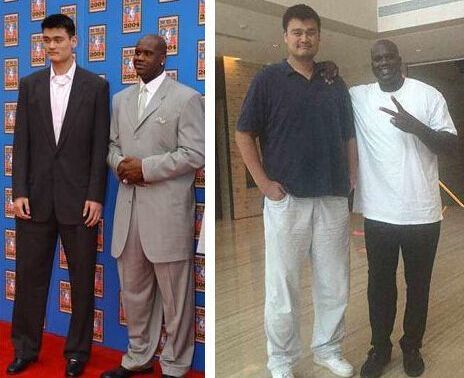 解释的模型 解释的模型